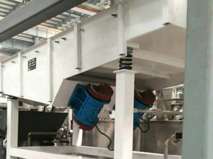 不銹鋼直線振動篩面粉篩分現場，產量5t/h